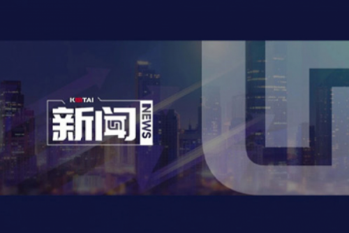 AI驱动新增长，扣非净利提升10%，今年会jinnianhui金字招牌数码2025一季度稳健开局